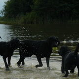 En toen waren er drie. HUH?!?
