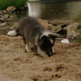 graven