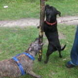 nakita en sky in het park