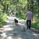 Foto van liesbeth,Turbo,Luna, Levi en Faith