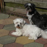 Funny en Kiki
