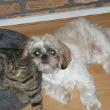 Lizzy en Sofie