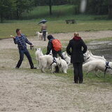 spijkbos wandeling