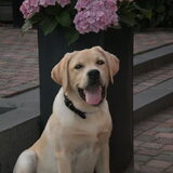 Foto van Ina en Boris