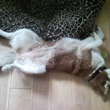 indecent