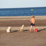Foto van The tibbies on tour