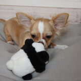 Jay op ze bedje met Pandabeertje