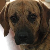 Dit is Joey! Wat een schatje he.