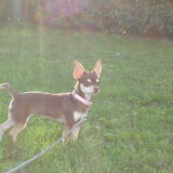 My sunlight!