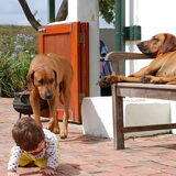 Cleo, Louis en kleinkind Sam.