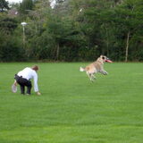 frisbee