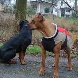 Toch wel lekker warm