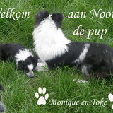 Foto van monique