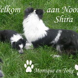 Foto van monique
