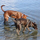 Foto van priscilla & C.S.C