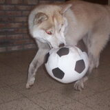 Noa voetbalt