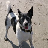 opa Flos op het strand