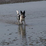 Flos pootje baden in de zee!