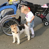 Fenna past wel ff op Morris! Op de achtergrond staat Flos zijn nieuwe…