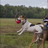 Foto van De Mecheltjes clan