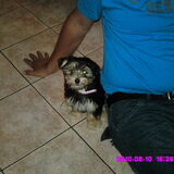 Foto van Jolanda *** Luca & Fleur***