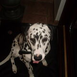 Mijn lieve schat