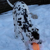 Mijn lieve schat in de sneeuw
