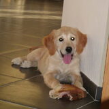 Foto van Charlotte