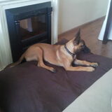 jessy 3.5 maanden oud