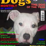 zena in het blaadje van de dog of the year