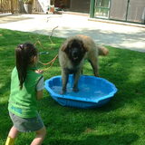 waterpret