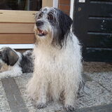 Foto van Klaas