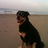 Beach Boris