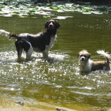 Hier is Storm aan het spelen met Tobias