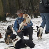 de kleine rooie is marron de mini jack russell de gene die voor me ligt…