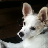 Foto van Femke