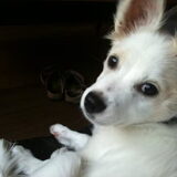 Foto van Femke