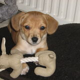 Knuffel gekregen van de kraamvisite;)