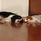 Samen slapen we het liefst!