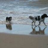 Friso en Bouke samen aan het Monsterse strand