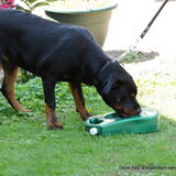 Foto van Hannie met Beer en Chelsea