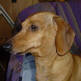 Dit is Nienke, onze Nienke is 14 jaar, en al een hele tijd ziek haar…