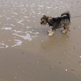 Voor 't eerst naar het strand!