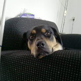Lieve lobbes