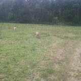 Lex & Noa in het bos