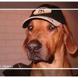 Balou met Baseballcap