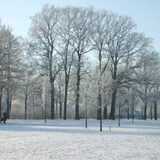 wat is de natuur toch mooi met al die sneeuw en ijs