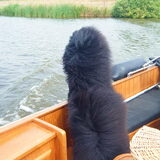 lekker windje