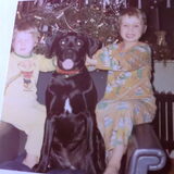 Vesta =kruising labrador/boxer