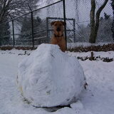 Blitz met een grote sneeuwbal